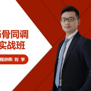 筋骨同调实战班 封面(备用)